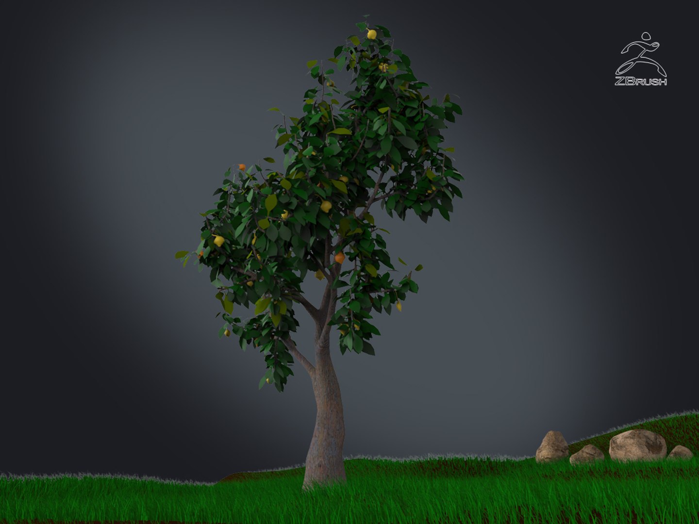 3D zbrush grass https://p.turbosquid.com/ts-thumb/gP/PFzx6m/BnSNffgk/002/jpg/1492682269/1920x1080/fit_q87/ca7b2f0794203077e9052a103096e96a56c6809e/002.jpg