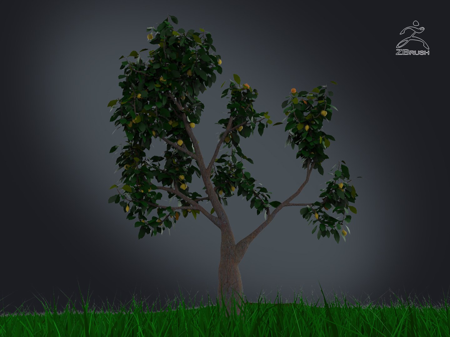 3D zbrush grass https://p.turbosquid.com/ts-thumb/gP/PFzx6m/DUkuczdg/004/jpg/1492682269/1920x1080/fit_q87/bc09fcd5f34c220f4a292c55e477aa819b3c4c60/004.jpg