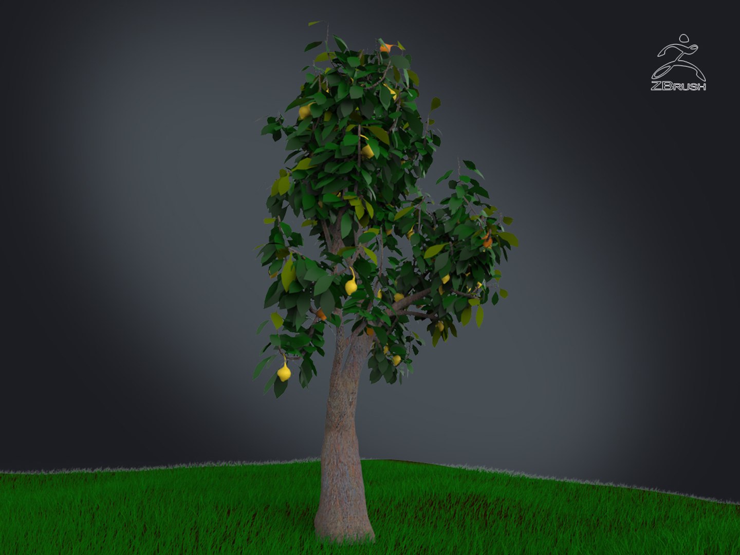 3D zbrush grass https://p.turbosquid.com/ts-thumb/gP/PFzx6m/F0mbbTiU/006/jpg/1492682269/1920x1080/fit_q87/190b81891cd8a7b1131c6179644faf2245434870/006.jpg