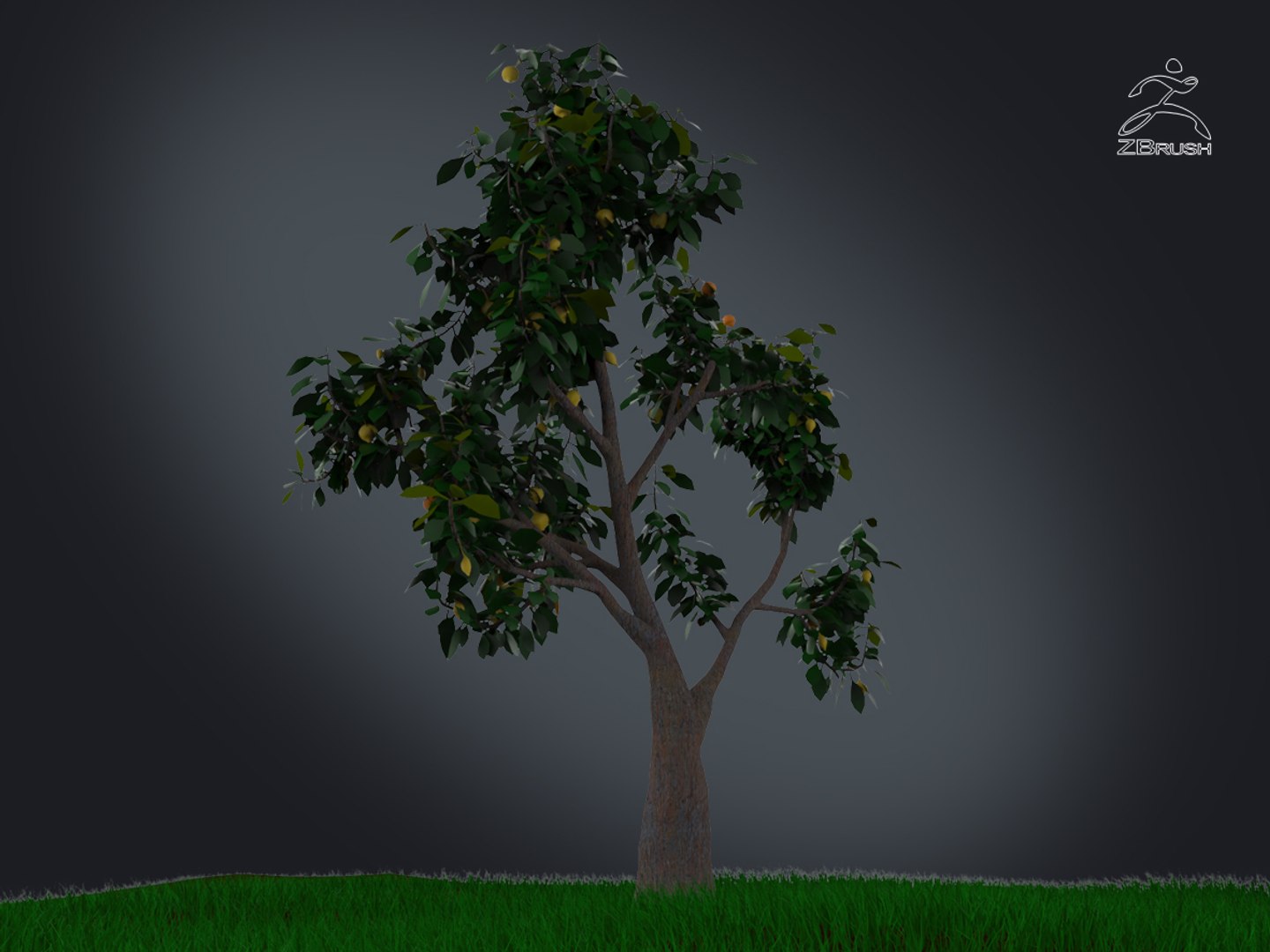 3D zbrush grass https://p.turbosquid.com/ts-thumb/gP/PFzx6m/Inn2EHzo/003/jpg/1492682269/1920x1080/fit_q87/fd03fcd3e7b6852ad186458142351a11fe60d575/003.jpg