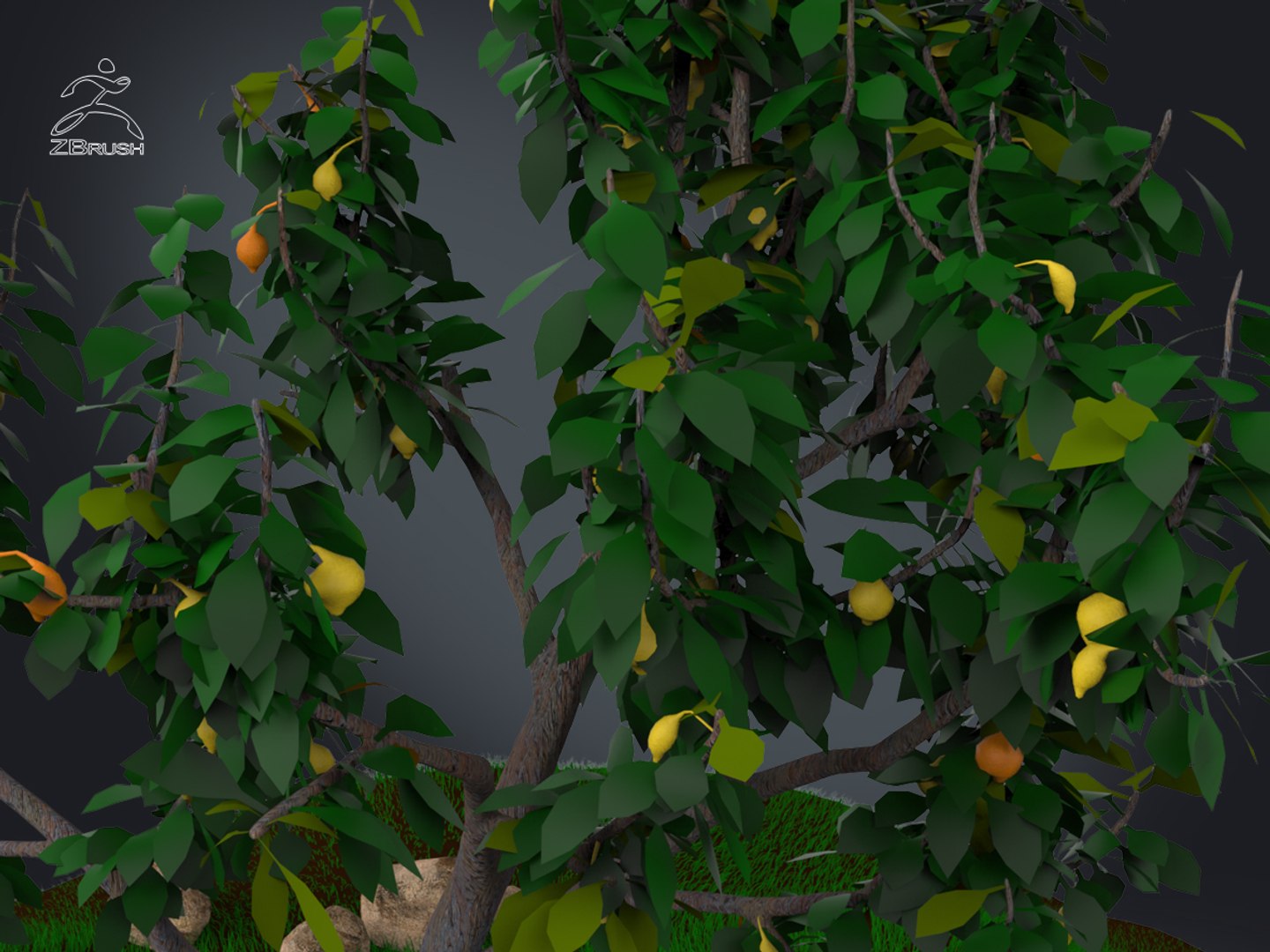 3D zbrush grass https://p.turbosquid.com/ts-thumb/gP/PFzx6m/L8By18Xt/0010/jpg/1492682291/1920x1080/fit_q87/97c6e073c1f06314a8b3195dc35d2de698c66675/0010.jpg