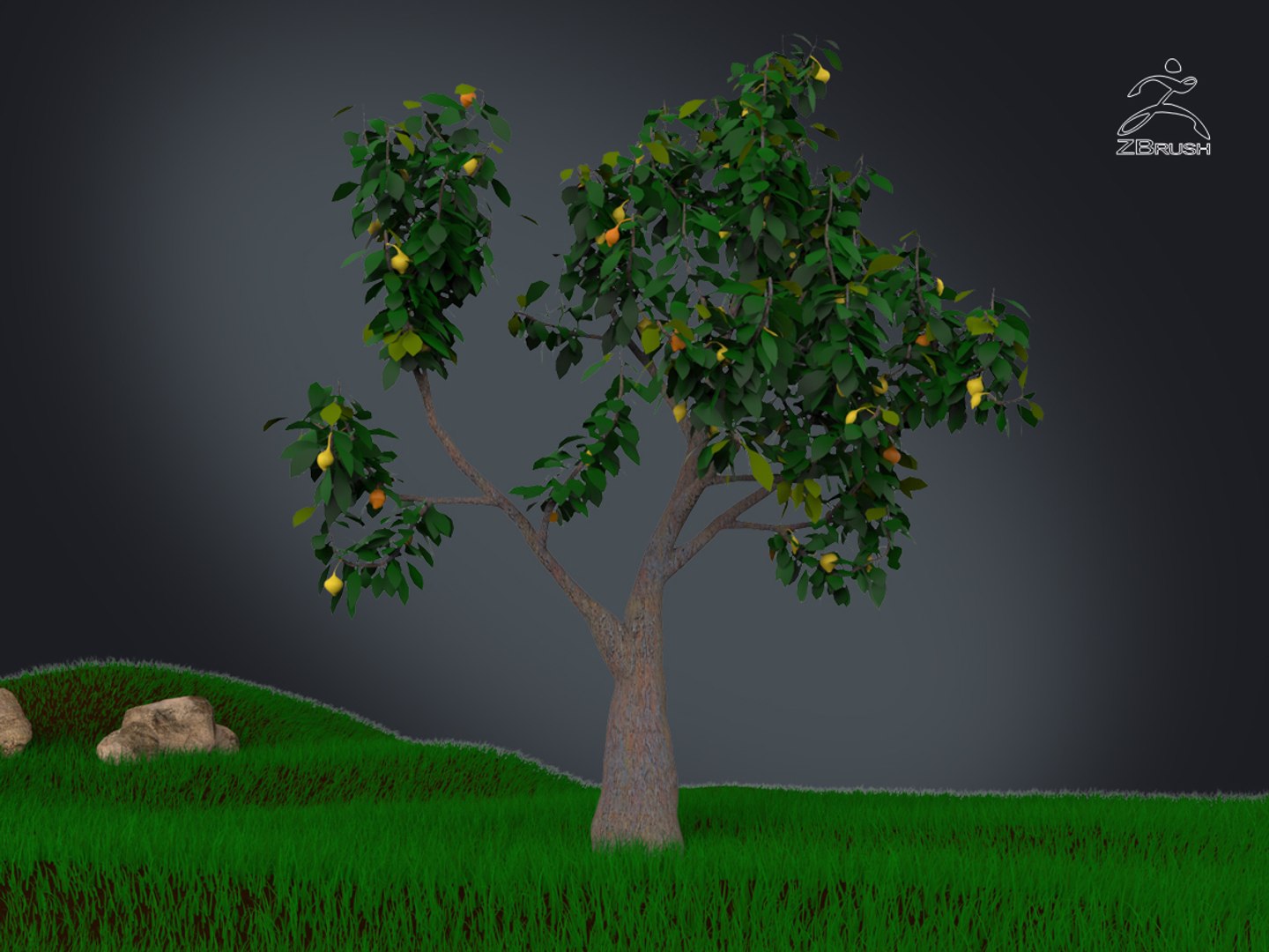 3D zbrush grass https://p.turbosquid.com/ts-thumb/gP/PFzx6m/OZzFftYV/008/jpg/1492682269/1920x1080/fit_q87/dffb1bf99f4f3d43f97ce8c1d62e882c58966610/008.jpg