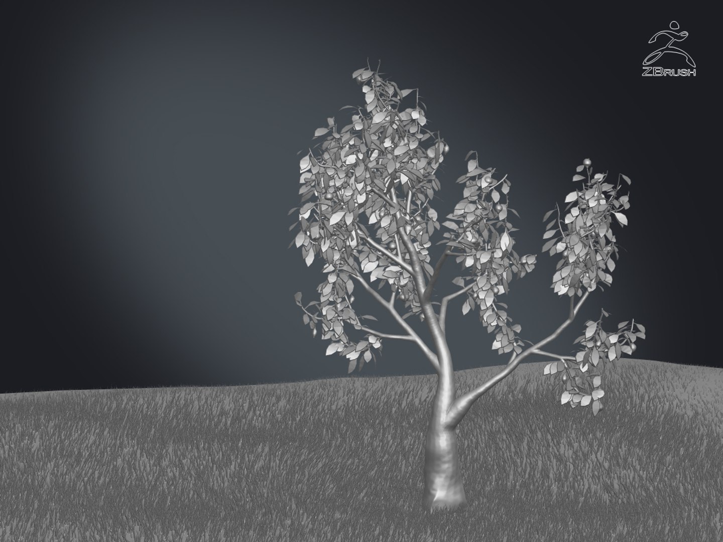 3D zbrush grass https://p.turbosquid.com/ts-thumb/gP/PFzx6m/bNbxqJSS/07/jpg/1492682333/1920x1080/fit_q87/8a9f26b7f3d8ce8a86a21ab8cd9a2c38883c3435/07.jpg