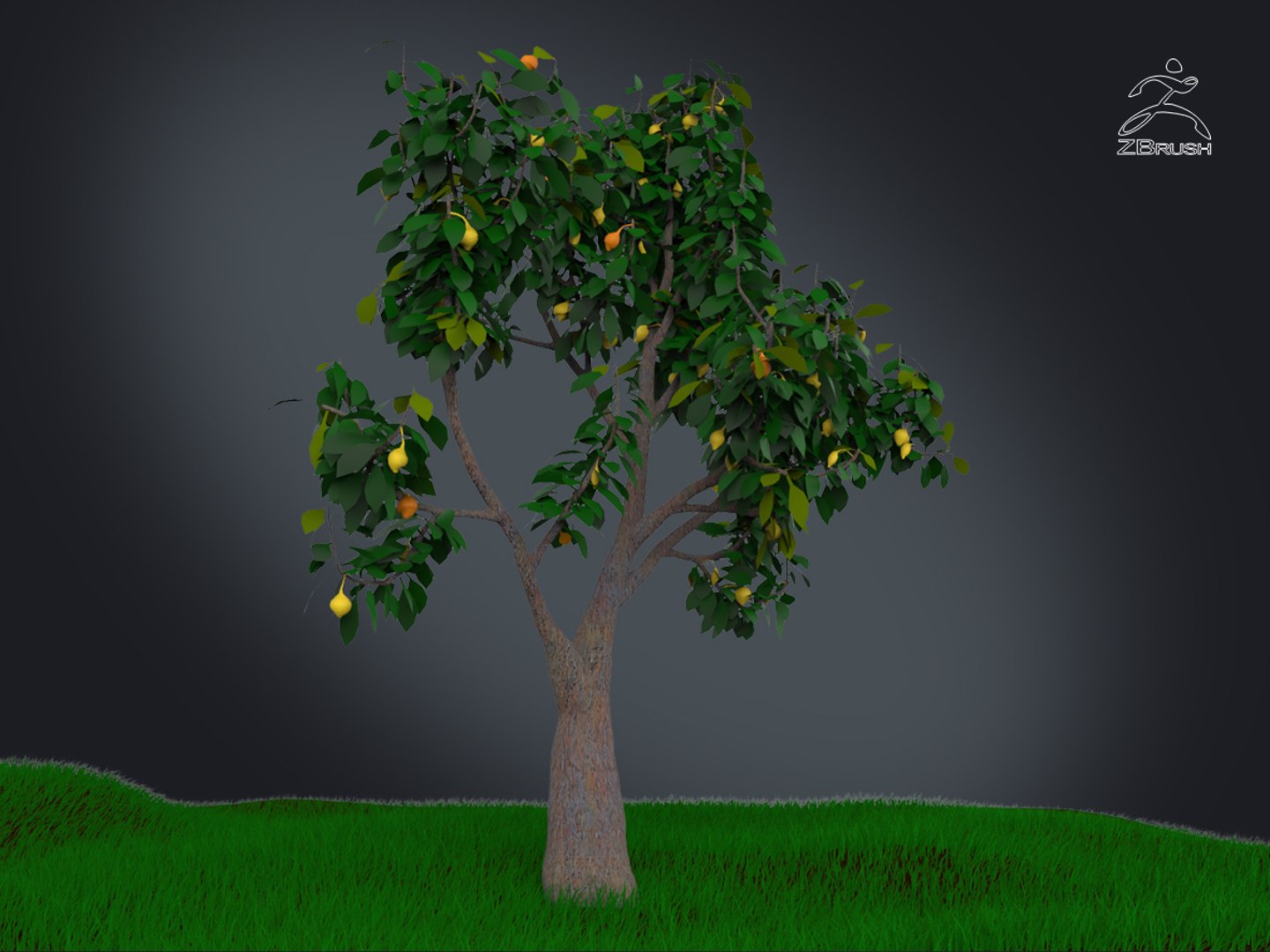 3D zbrush grass https://p.turbosquid.com/ts-thumb/gP/PFzx6m/iOfc4xYT/007/jpg/1492682269/1920x1080/fit_q87/ea9a652c1a27b7f2b6ec5f931ff81af9284771d1/007.jpg