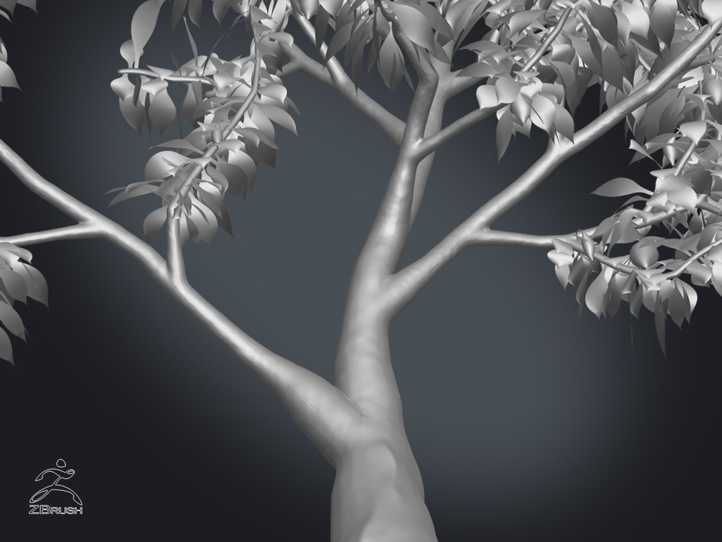 3D zbrush grass https://p.turbosquid.com/ts-thumb/gP/PFzx6m/kVwDcdEj/11/jpg/1492682333/1920x1080/fit_q87/355e64f68cc299f8e5cc11f258e4f752626c87d9/11.jpg