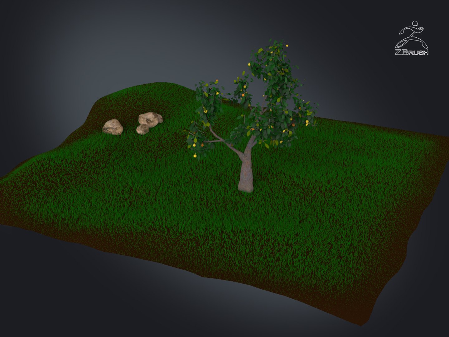 3D zbrush grass https://p.turbosquid.com/ts-thumb/gP/PFzx6m/xzjpAFJ9/009/jpg/1492682269/1920x1080/fit_q87/935d4a75feb87039b2d888c3f8f3c9286d109338/009.jpg