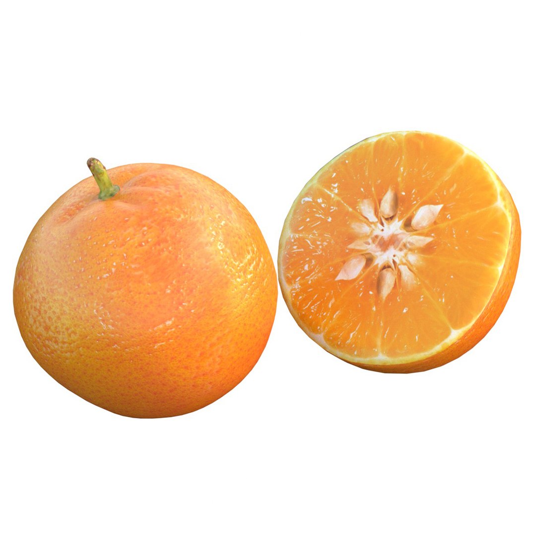 Mandarin fruit model https://p.turbosquid.com/ts-thumb/gP/bkM12w/b1/squid/jpg/1759842762/1920x1080/fit_q87/b0ee24e593f627a5c5f35c13bbc6c770d1c01ef9/squid.jpg