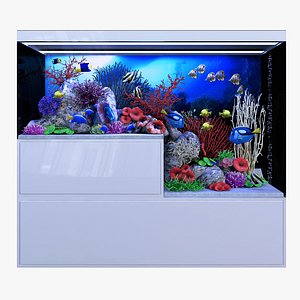 Marine Aquarium 3D Models for Download | TurboSquid