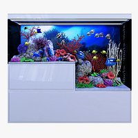 Seawater aquarium