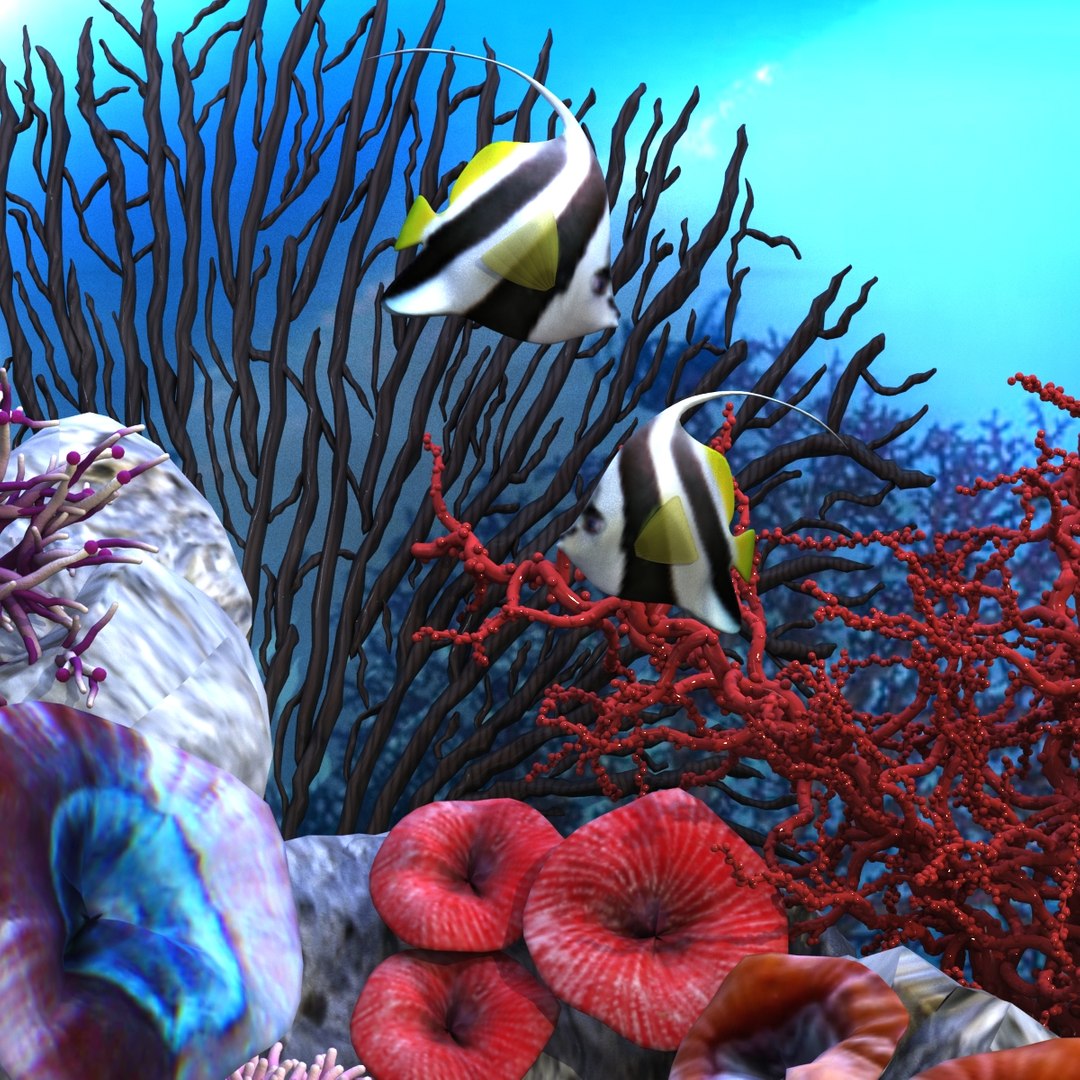 3D aquarium rostratus parasema model https://p.turbosquid.com/ts-thumb/gP/jcyHYR/79EQhIRk/95/jpg/1514917739/1920x1080/fit_q87/5912a263eb5386e5b9e117be912e326a6e5db7e8/95.jpg