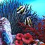 Seawater aquarium