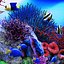 Seawater aquarium