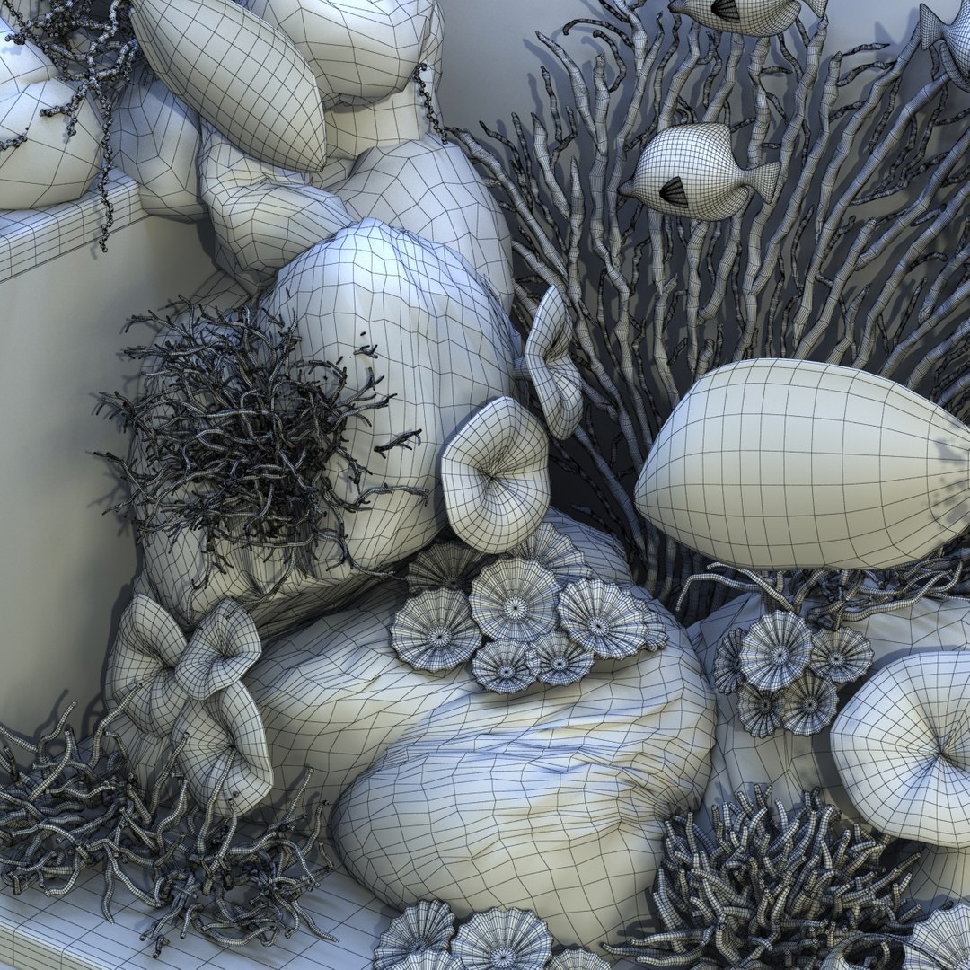 3D aquarium rostratus parasema model https://p.turbosquid.com/ts-thumb/gP/jcyHYR/YBdTwPtI/93/jpg/1514917855/1920x1080/fit_q87/be8310aef91fba638c77166308d59c2cfe8e2100/93.jpg