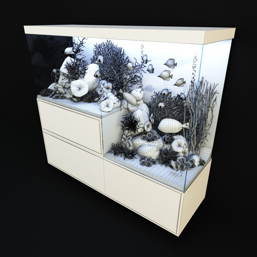 3D aquarium rostratus parasema model https://p.turbosquid.com/ts-thumb/gP/jcyHYR/oDxSA8gI/92/jpg/1514917834/1920x1080/fit_q87/cecfa72d19fadb40fc8cd8c2bd93b45869125ba4/92.jpg
