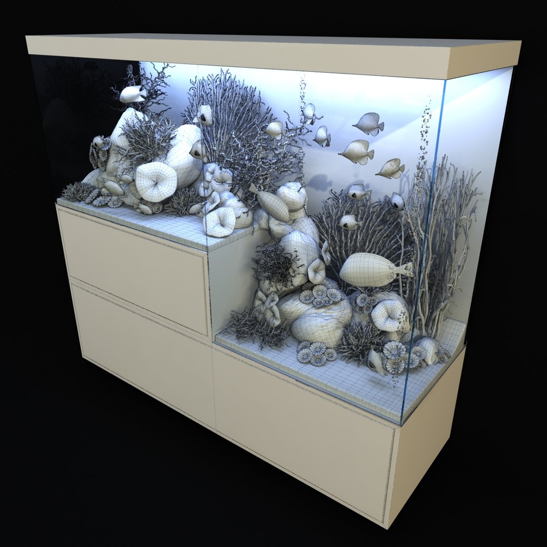 3D aquarium rostratus parasema model https://p.turbosquid.com/ts-thumb/gP/jcyHYR/xfaGTJSc/94/jpg/1514917948/1920x1080/fit_q87/c966af327ad54991d78b47cd6c362dc8af26a1a3/94.jpg