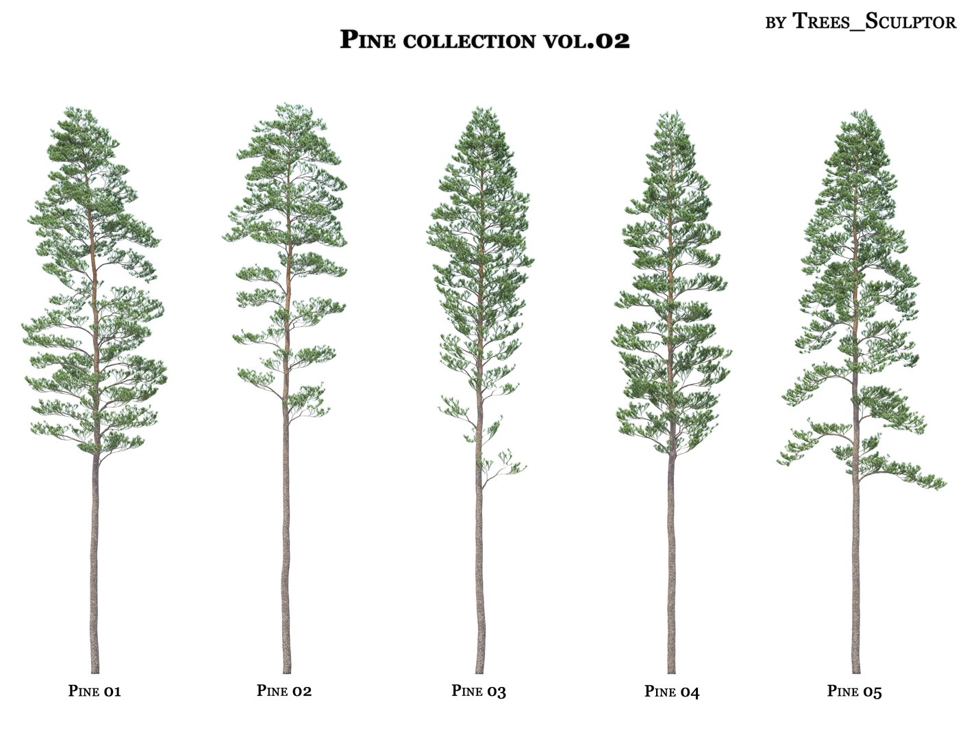 3d Model Pine-tree Pine Trees