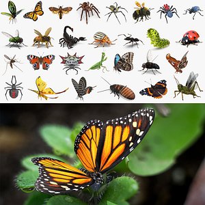 Insects Big Rigged 3D Models Collection 2