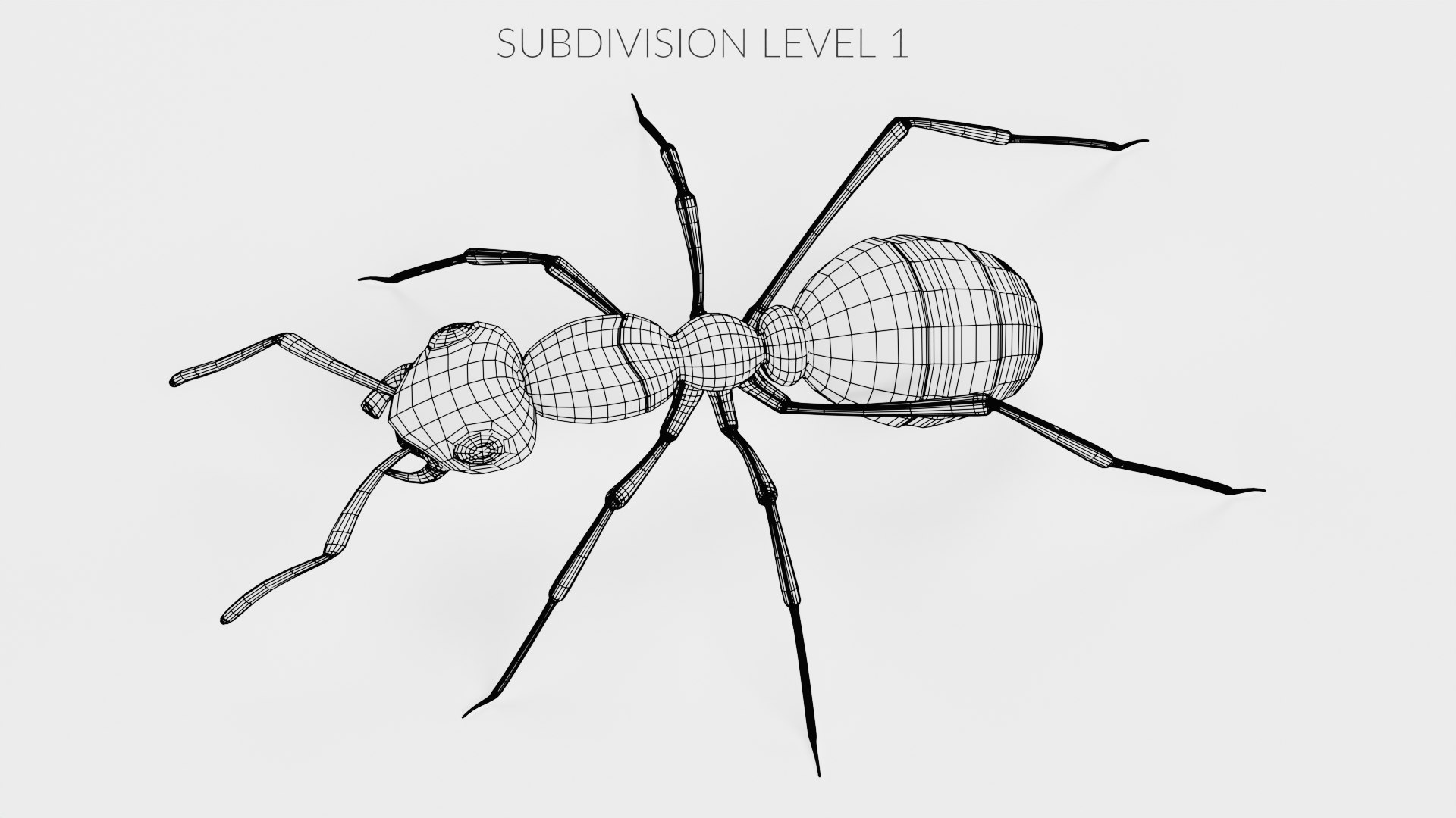 Ant 3D model https://p.turbosquid.com/ts-thumb/gP/sR8KFT/0H/antw3/png/1713627049/1920x1080/fit_q87/f089dd98c5369d62d14d934067a01ddebcd83531/antw3.jpg