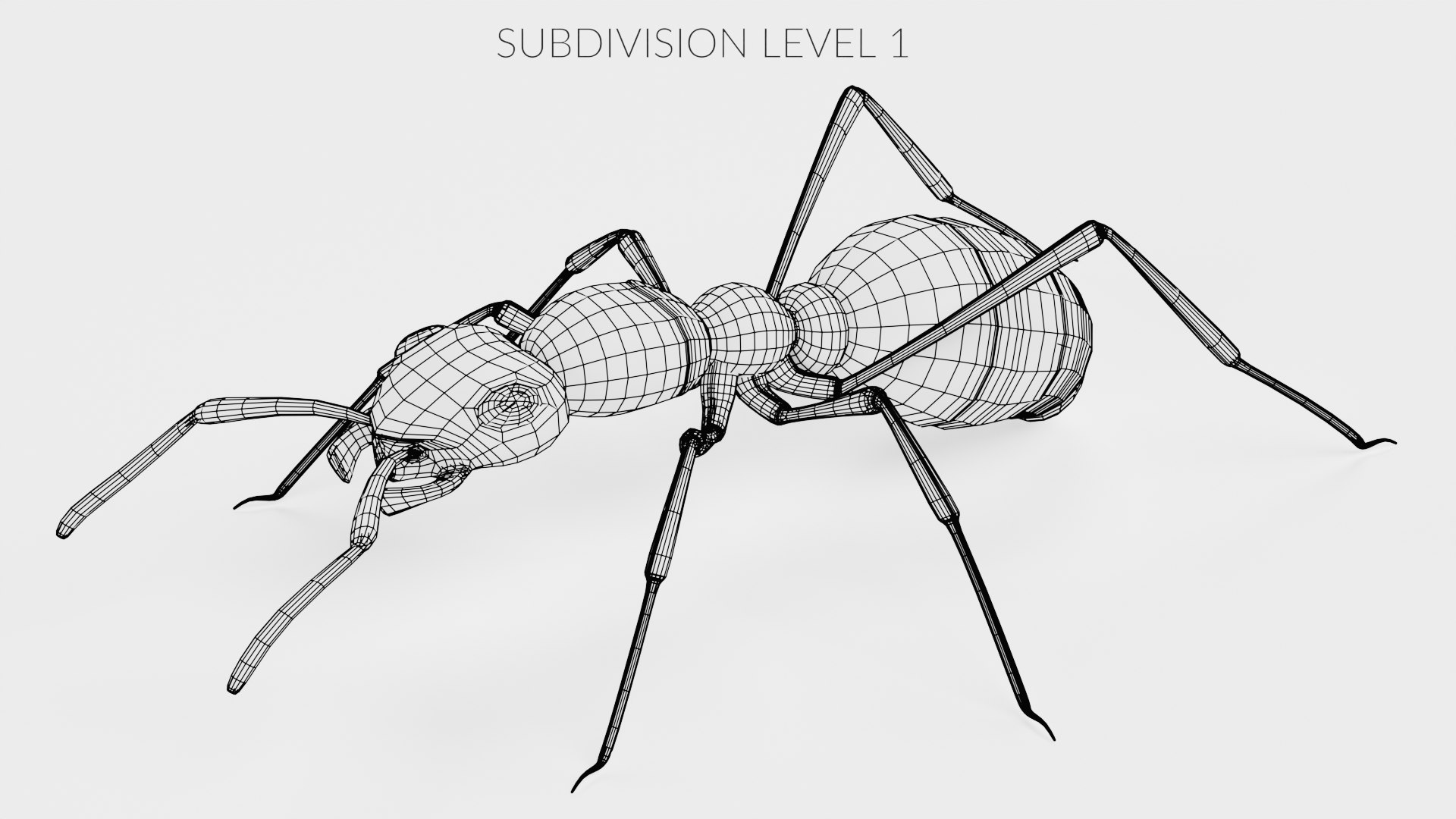 Ant 3D model https://p.turbosquid.com/ts-thumb/gP/sR8KFT/I4/antw1/png/1713627048/1920x1080/fit_q87/2a905d5e8c88a4759f527528416d36a3f32d8ec8/antw1.jpg