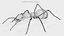 Ant 3D model