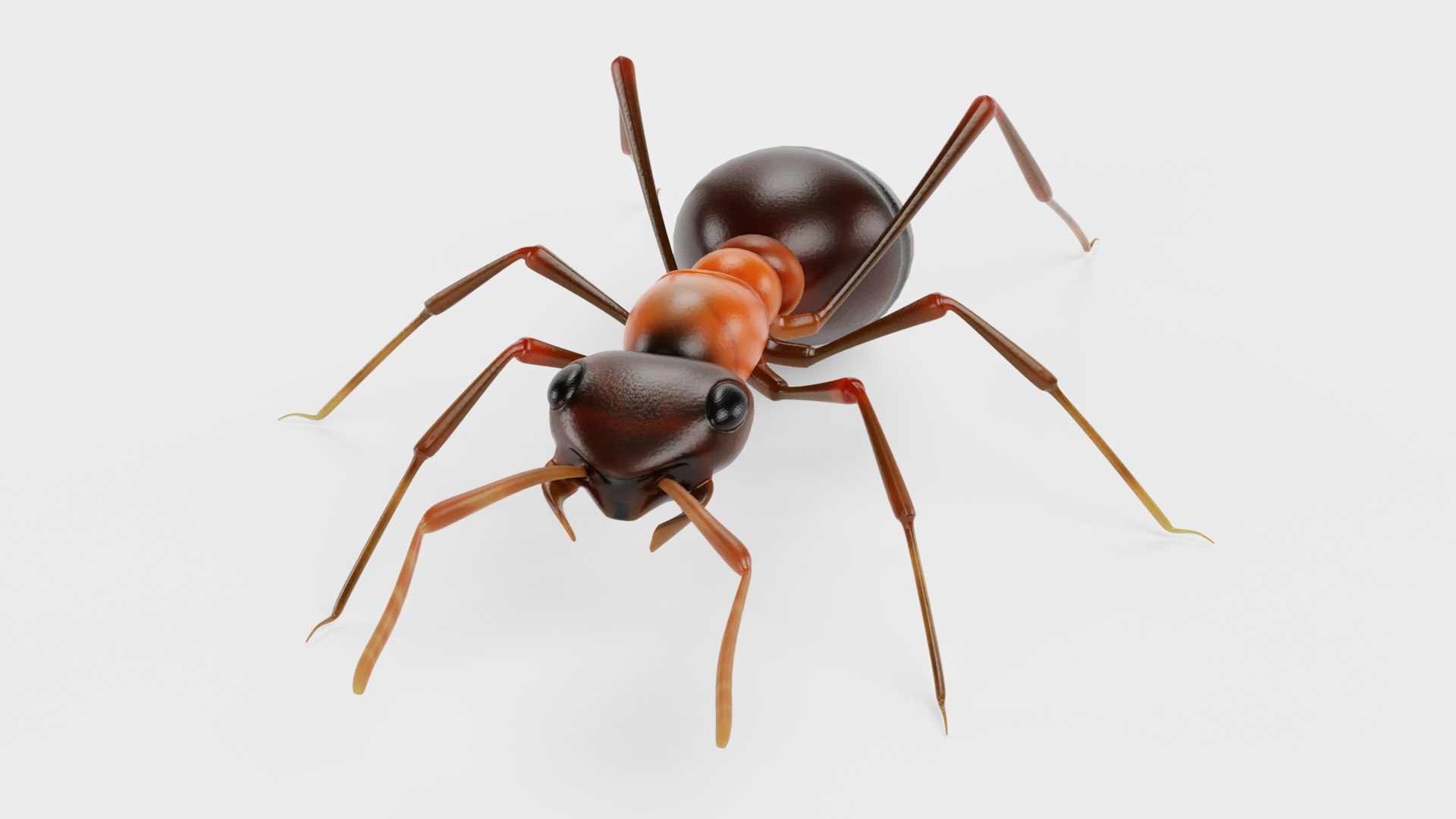 Ant 3D model https://p.turbosquid.com/ts-thumb/gP/sR8KFT/q1/antc/png/1713627042/1920x1080/fit_q87/41bf67c08fba0c6401b79b30bb7b70c0552d00f6/antc.jpg