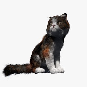 3D cat rigged fur animate