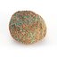 14 Photorealistic Coral Models - Underwater Ecosystem Pack
