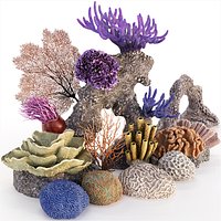 14 Photorealistic Coral Models - Underwater Ecosystem Pack