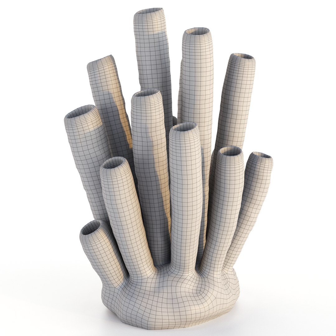 Coral collection 3D https://p.turbosquid.com/ts-thumb/gQ/2yRnCv/sr/coraltubeswirecopy/png/1738555008/1920x1080/fit_q87/3553e061fe86be15e620dbaee41f99b93335ac8b/coraltubeswirecopy.jpg
