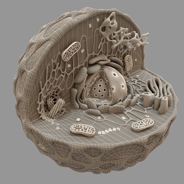 3d model cell