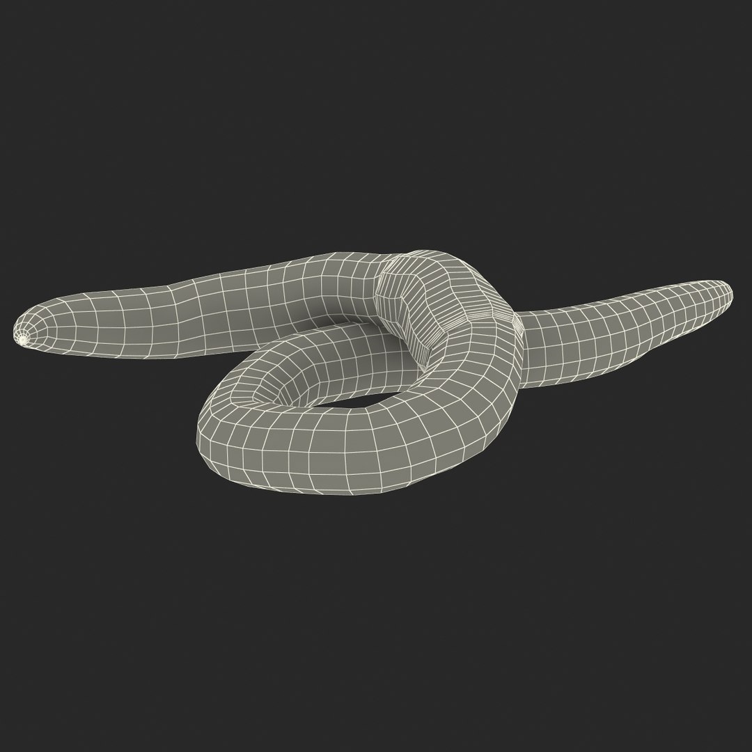 c4d earth worm rigged https://p.turbosquid.com/ts-thumb/gQ/6RkpM3/PTDpUY7k/earthwormriggedcinemac4d3dmodel34/jpg/1478372487/1920x1080/fit_q87/1fddec5de1b01b9472e6ffb245a1a7961b8574ff/earthwormriggedcinemac4d3dmodel34.jpg