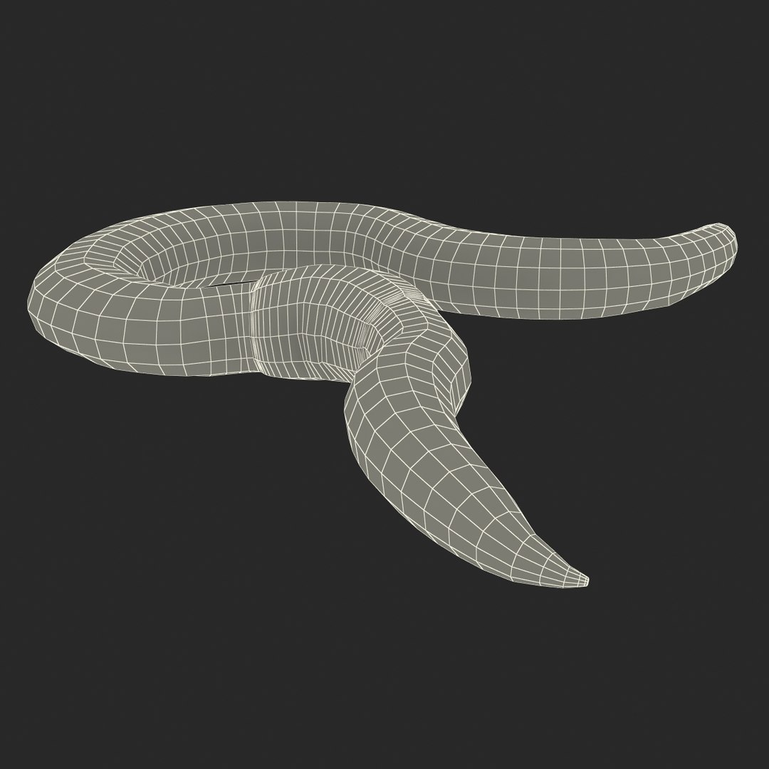 c4d earth worm rigged https://p.turbosquid.com/ts-thumb/gQ/6RkpM3/ZMxCMANX/earthwormriggedcinemac4d3dmodel26/jpg/1478372487/1920x1080/fit_q87/e275b7bbd6c99d3764b7be3d36b35e2fc19a8415/earthwormriggedcinemac4d3dmodel26.jpg