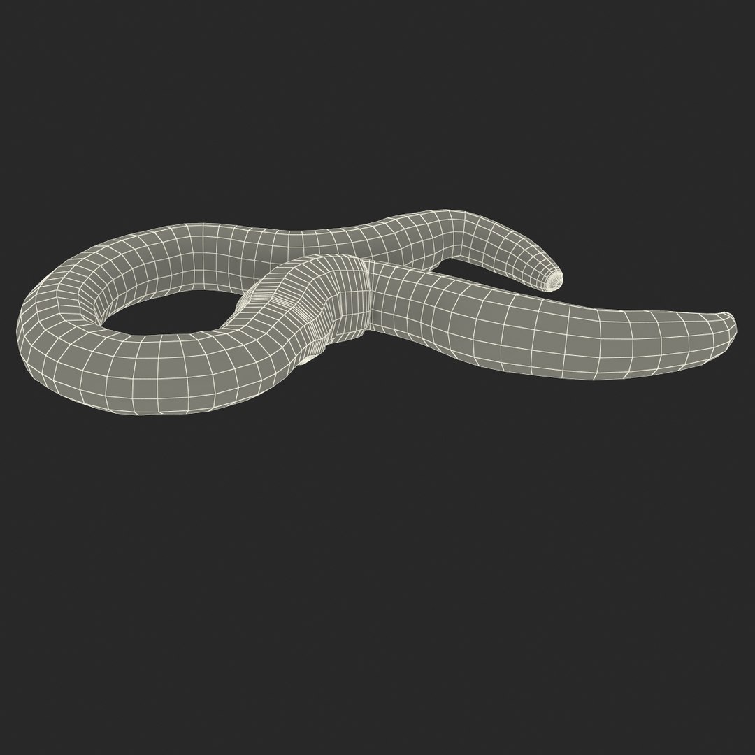 c4d earth worm rigged https://p.turbosquid.com/ts-thumb/gQ/6RkpM3/dbRZuYJu/earthwormriggedcinemac4d3dmodel30/jpg/1478372487/1920x1080/fit_q87/a254eb8f3c11f3c666eab1e2dd8faa45386a99a8/earthwormriggedcinemac4d3dmodel30.jpg