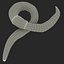 Earth Ver Rigged pour Cinema 4D