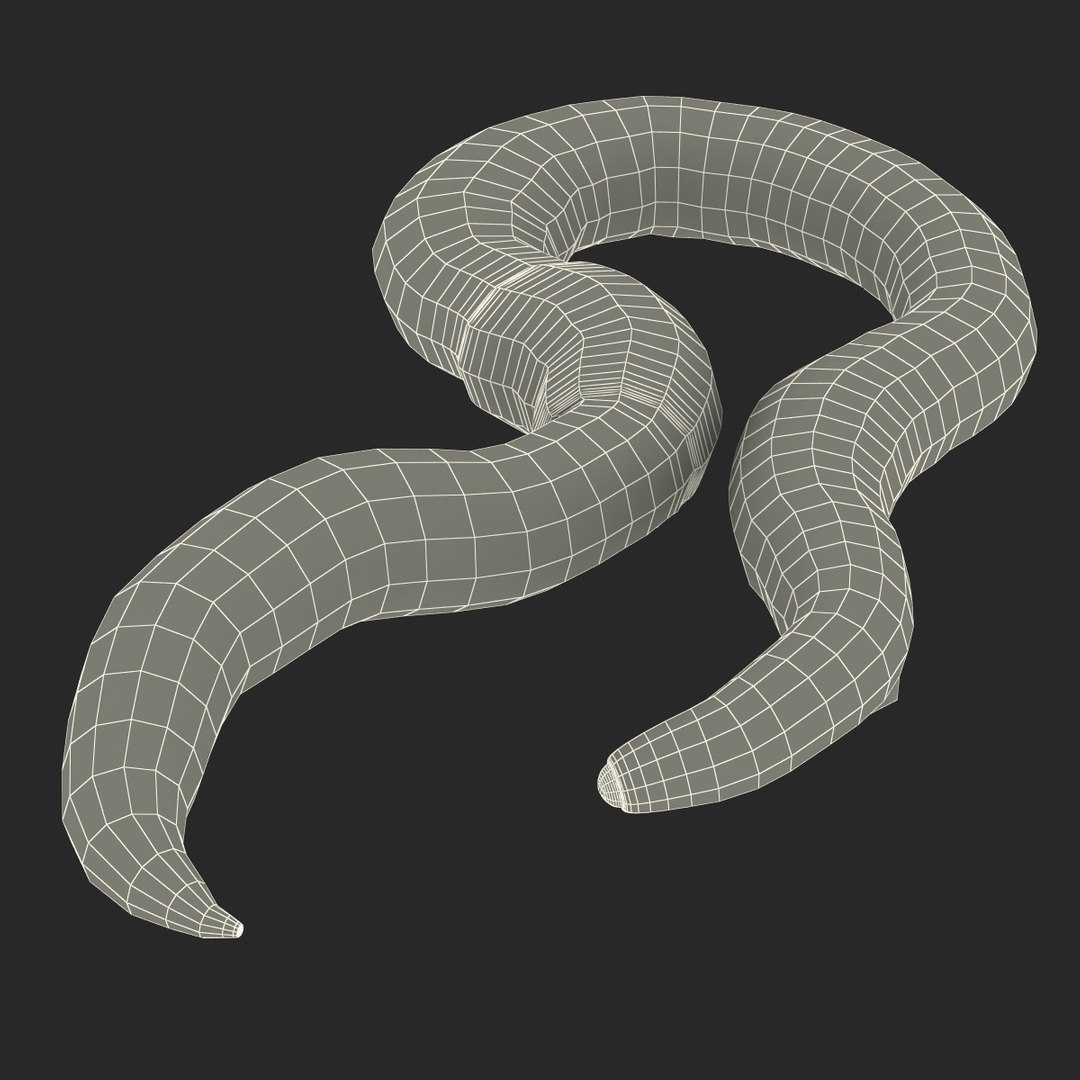 c4d earth worm rigged https://p.turbosquid.com/ts-thumb/gQ/6RkpM3/uncMUJgr/earthwormriggedcinemac4d3dmodel29/jpg/1478372487/1920x1080/fit_q87/4574770130c21924850efa51ab1e09d7d383fbc4/earthwormriggedcinemac4d3dmodel29.jpg