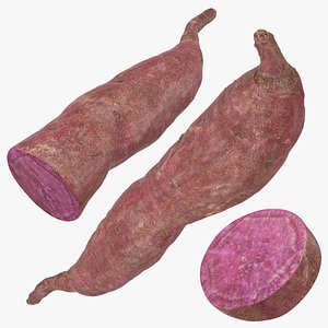 Sweet Potato 04 Collection 3D model