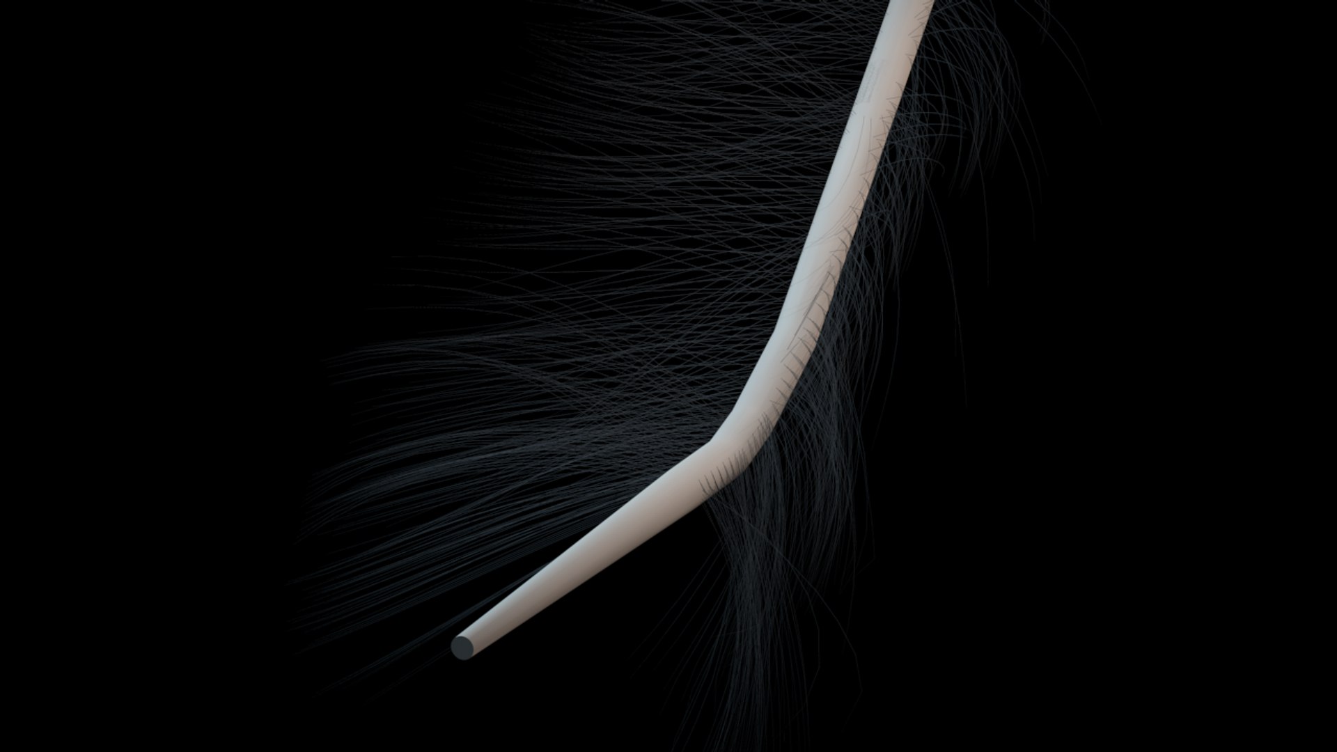 free c4d model feather https://p.turbosquid.com/ts-thumb/gQ/8XuWsT/JVRpgqc2/feather/png/1346023446/1920x1080/fit_q87/27e4c65cc8d99a3fef0fe52abec81ee1773c1205/feather.jpg