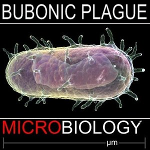 3d bubonic plague