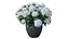 Hydrangea in planters set 02
