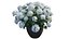Hydrangea in planters set 02