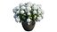 Hydrangea in planters set 02