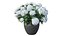 Hydrangea in planters set 02