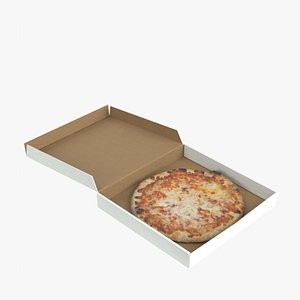 3D Pizza in an open carton box model