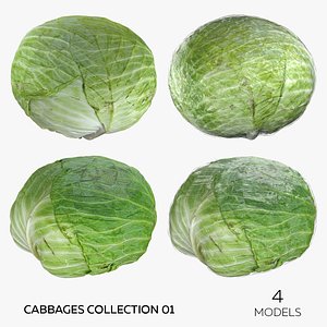 Cabbages Collection 01 - 4 models 3D