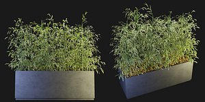 Collection plant vol 95 - blender model model