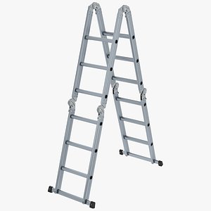 3D Ladder model