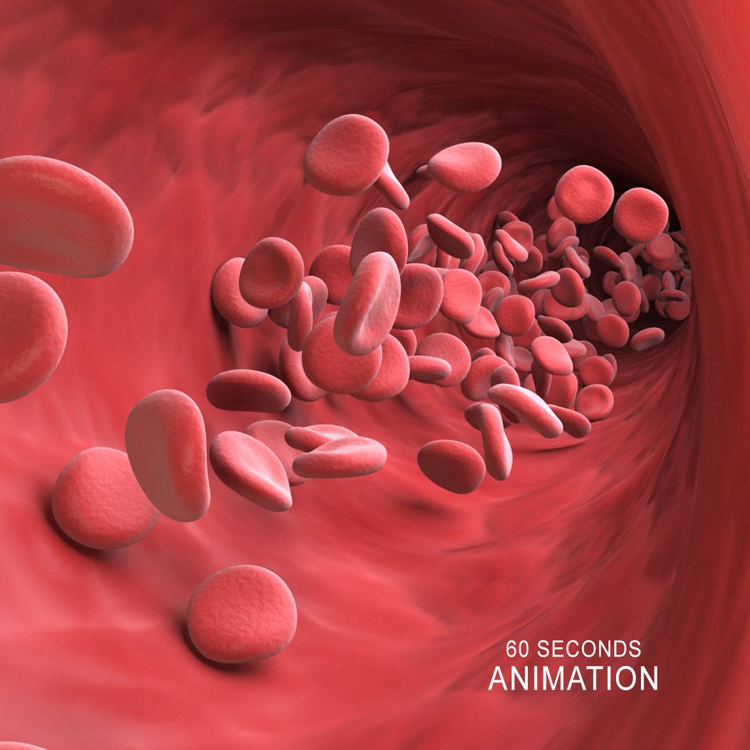 3D model Blood Cells flowing Animation - TurboSquid 1810860