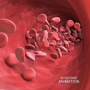 3D model Blood Cells flowing Animation