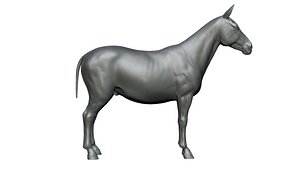 3D model zebra