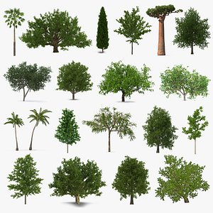 summer trees 8 3D model